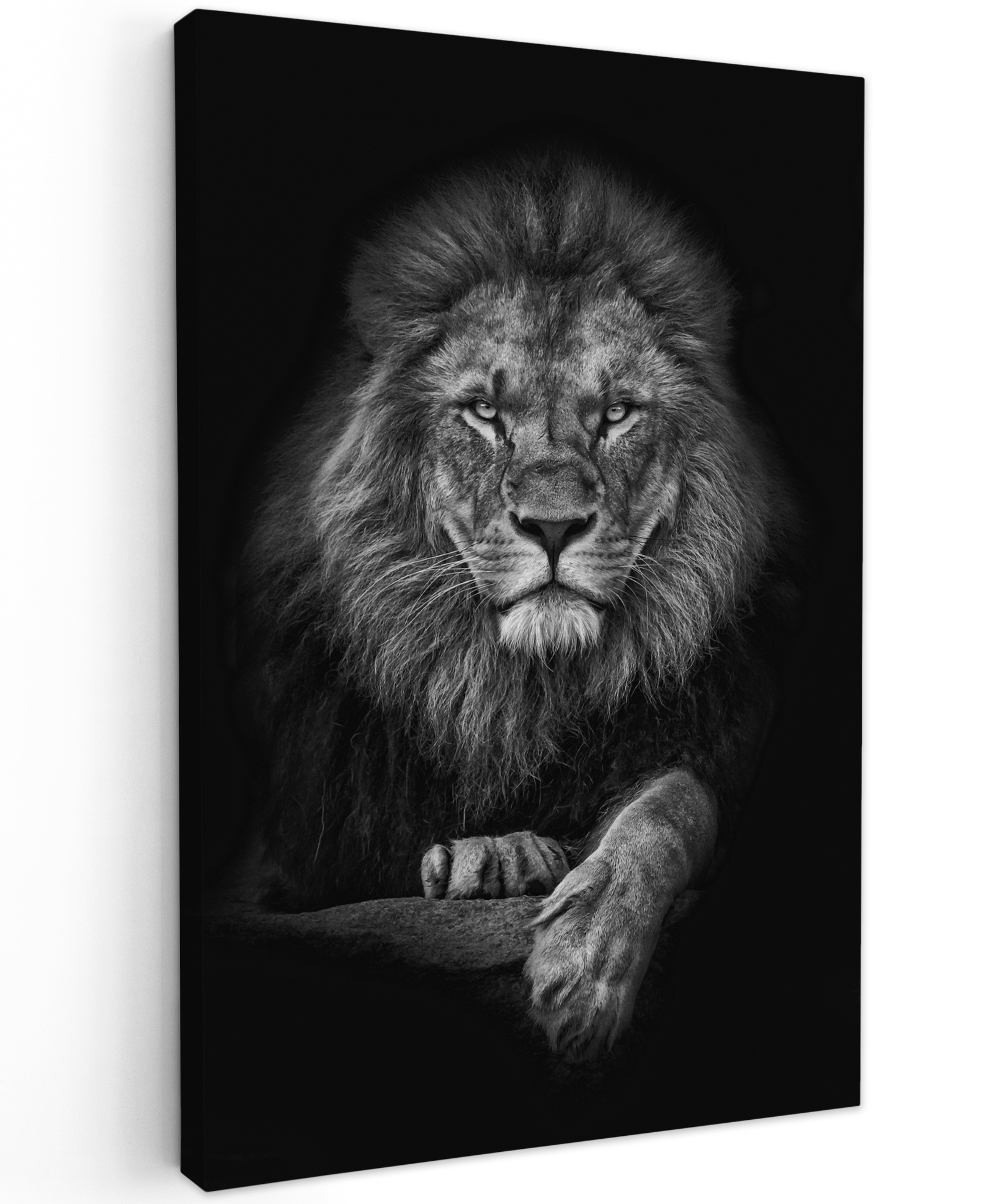 Tableau sur toile - Lion - Animaux - Noir - Blanc