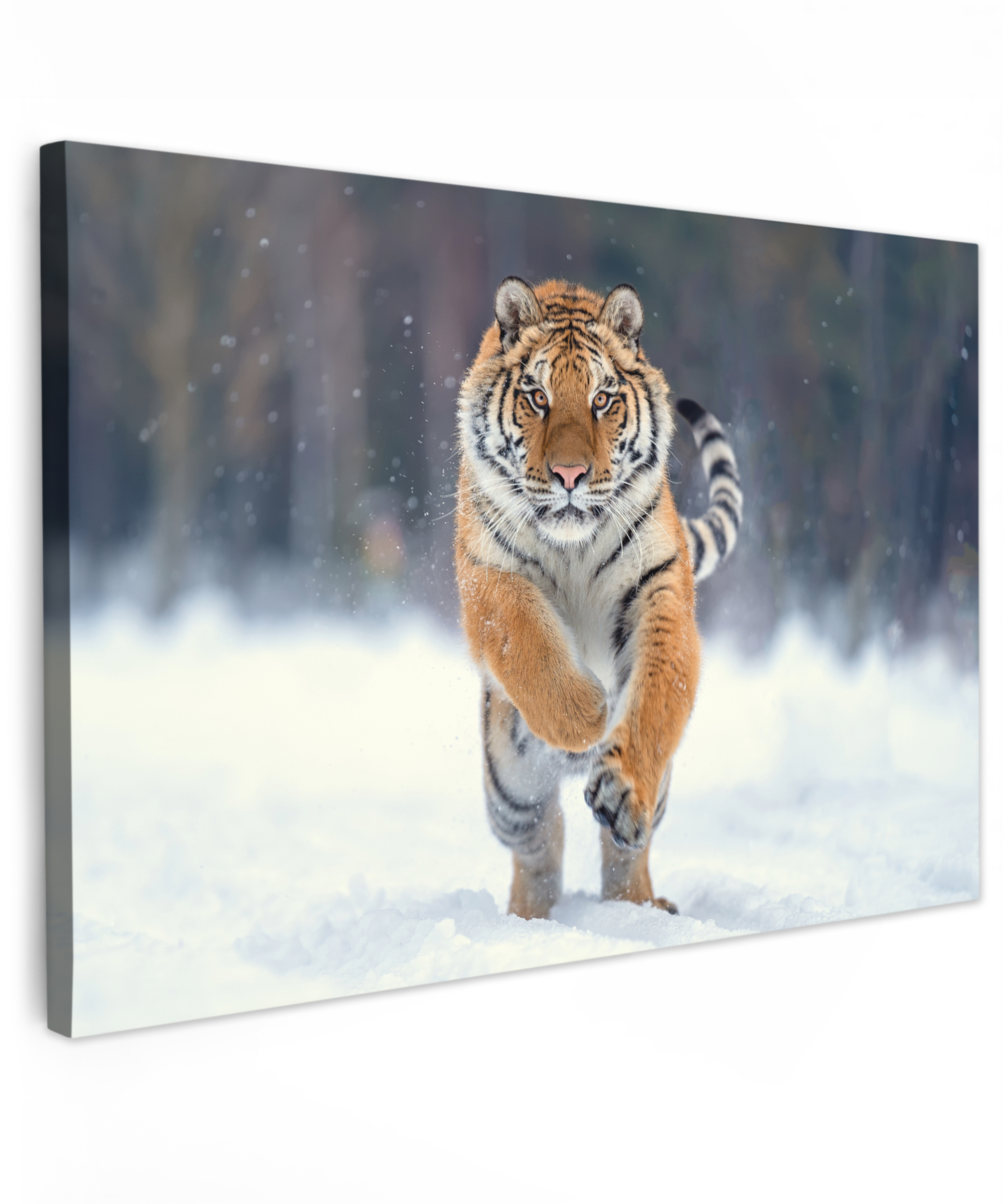 Canvas schilderij - Tijger - Landschap - Sneeuw - Winter - Dieren