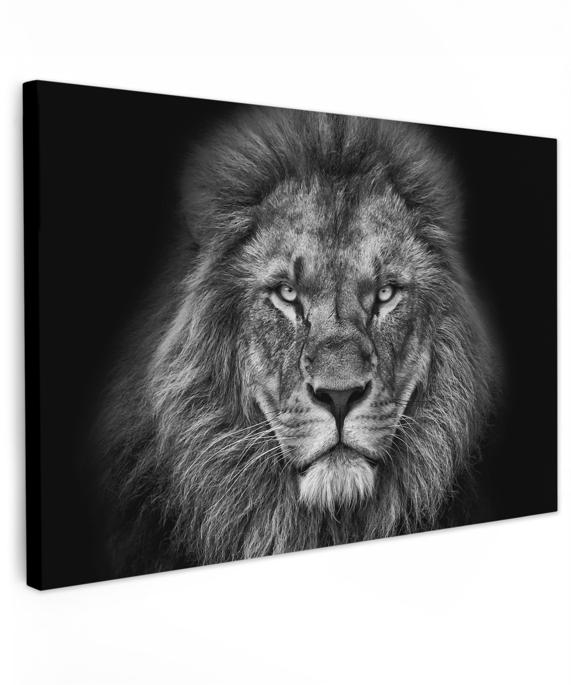 Tableau sur toile - Animaux - Lion - Noir - Blanc - Portrait