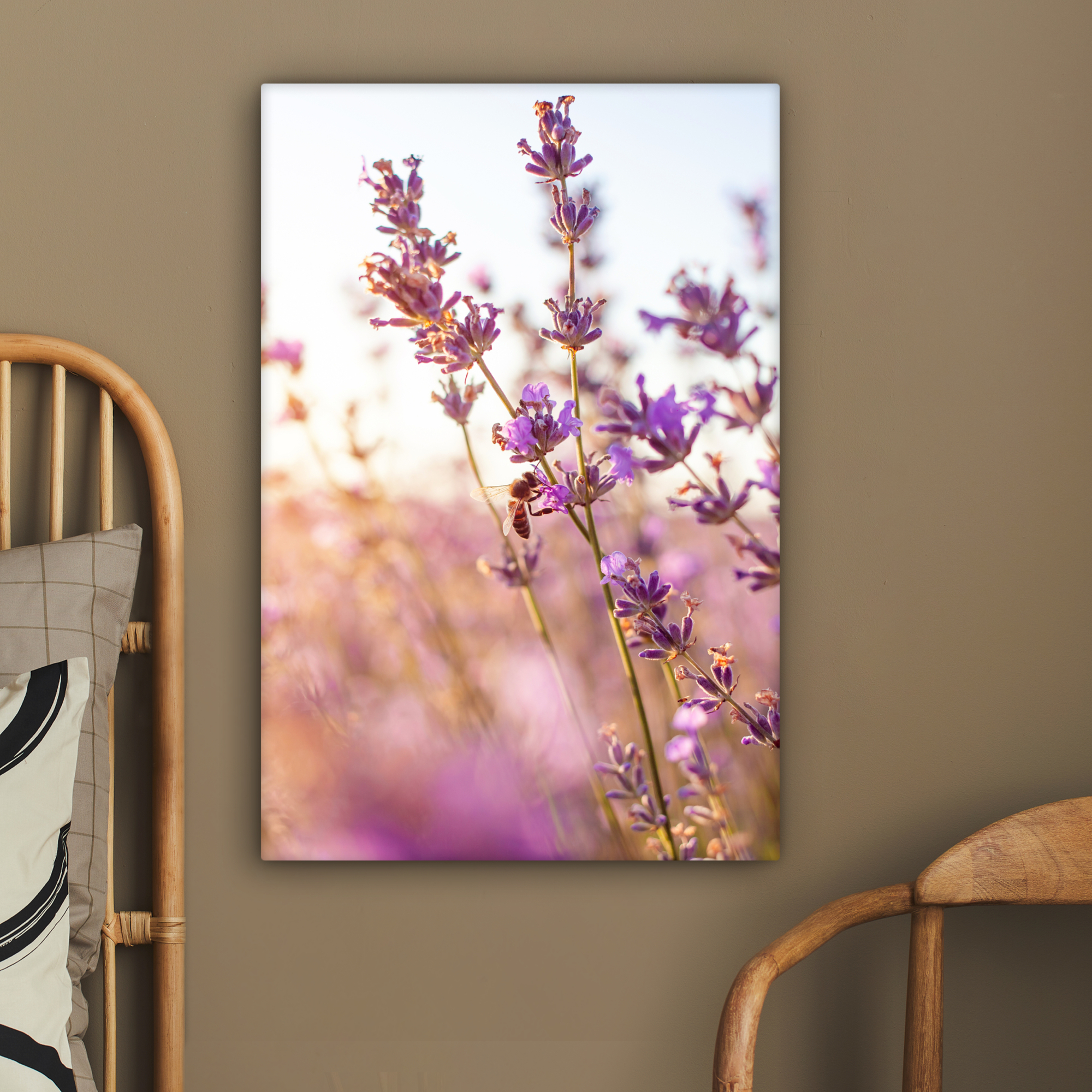 Canvas schilderij - Lavendel - Close-up - Zon - Bloemen-2