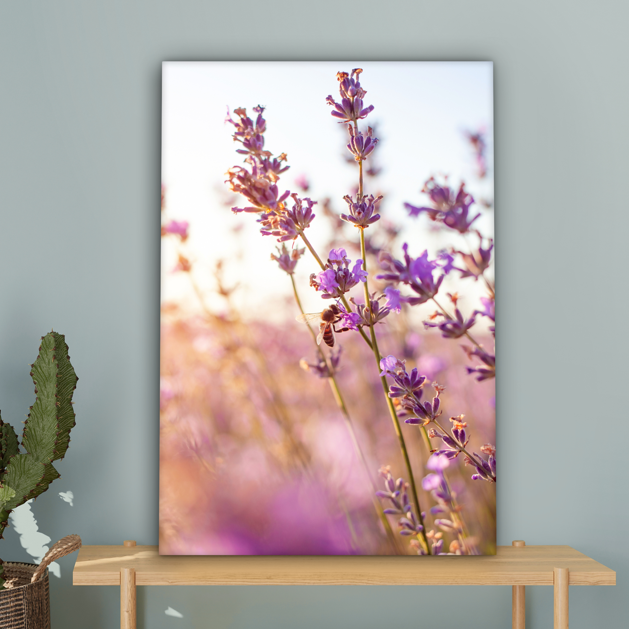 Leinwandbild - Lavendel - Nahaufnahme - Sonne - Blumen-4