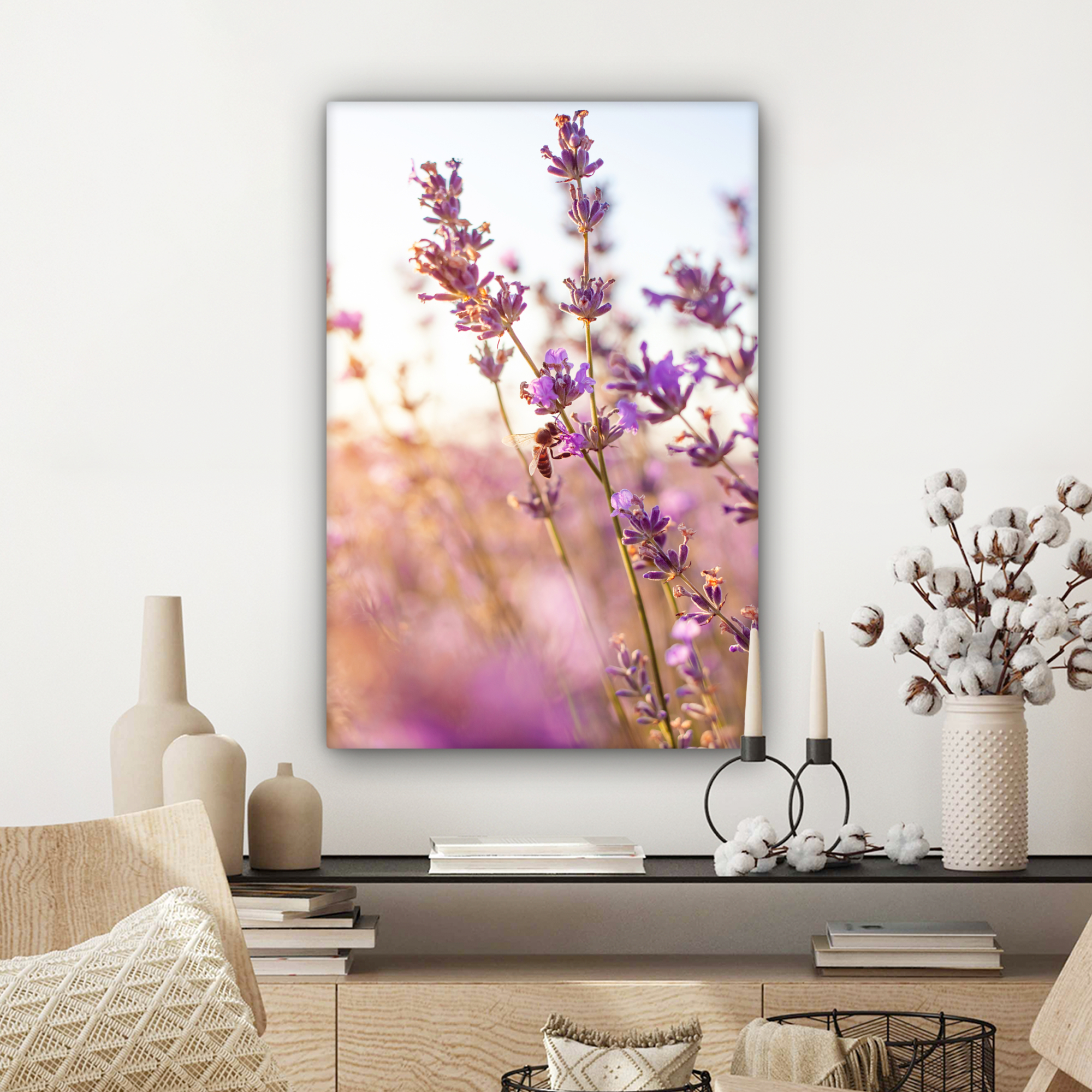 Leinwandbild - Lavendel - Nahaufnahme - Sonne - Blumen-3