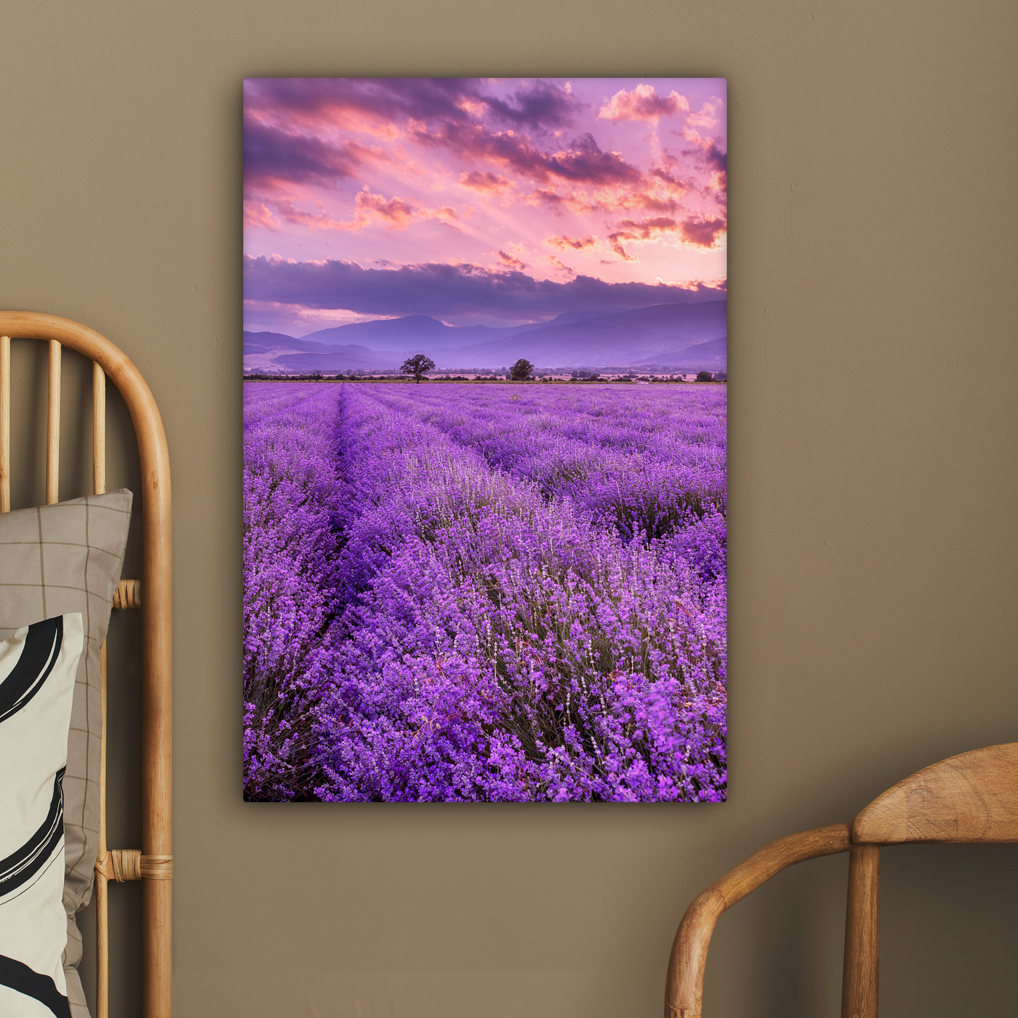 Leinwandbild - Lavendel - Lila - Blumen - Feld-2