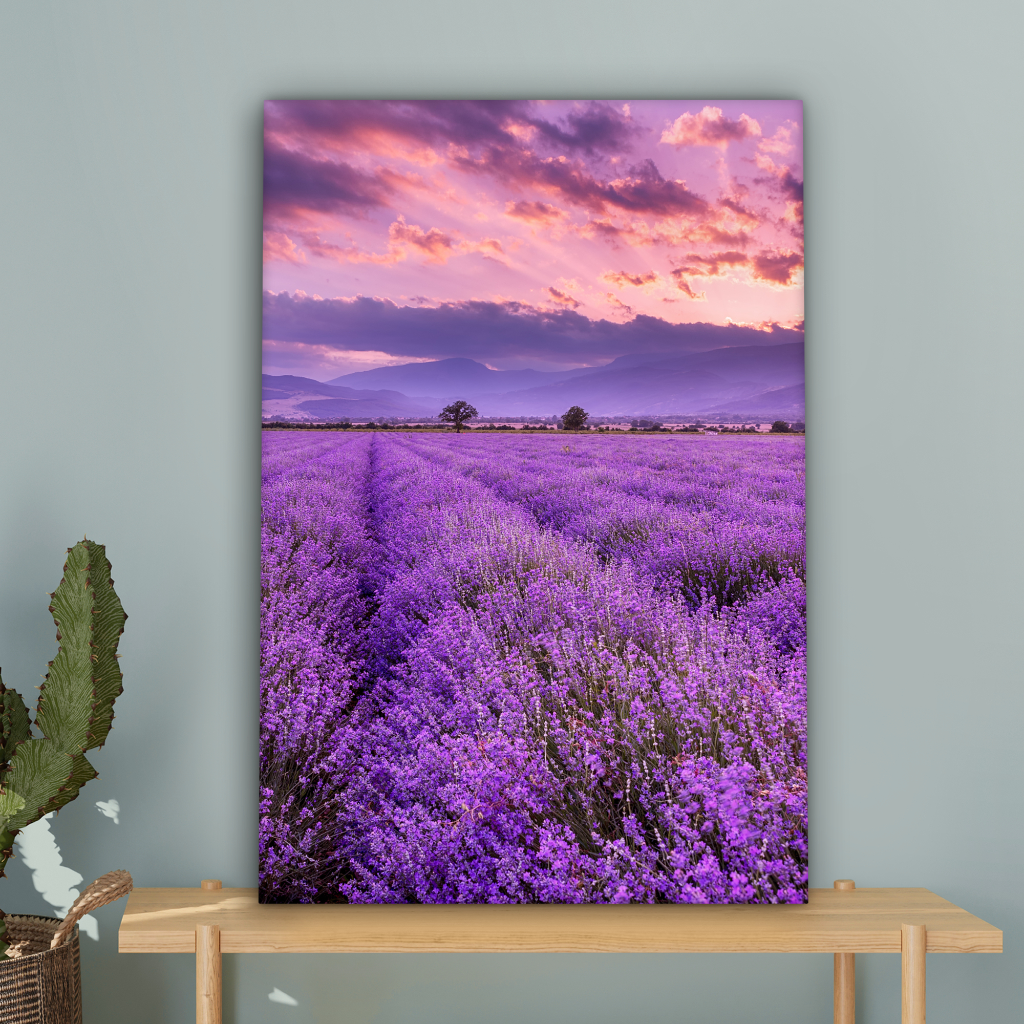 Leinwandbild - Lavendel - Lila - Blumen - Feld-4