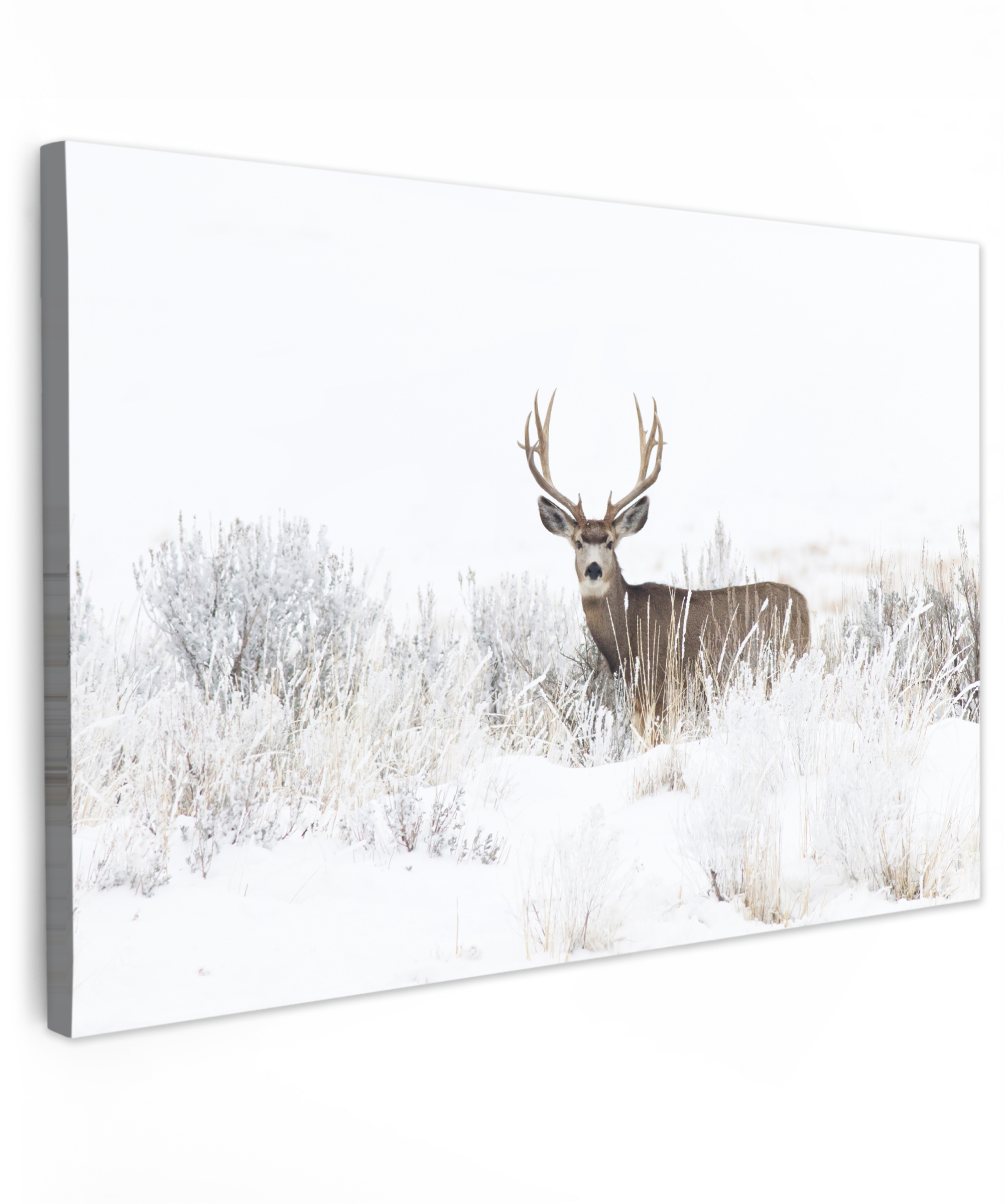 Canvas schilderij - Hert - Winter - Sneeuw - Dieren - Seizoenen - Wit