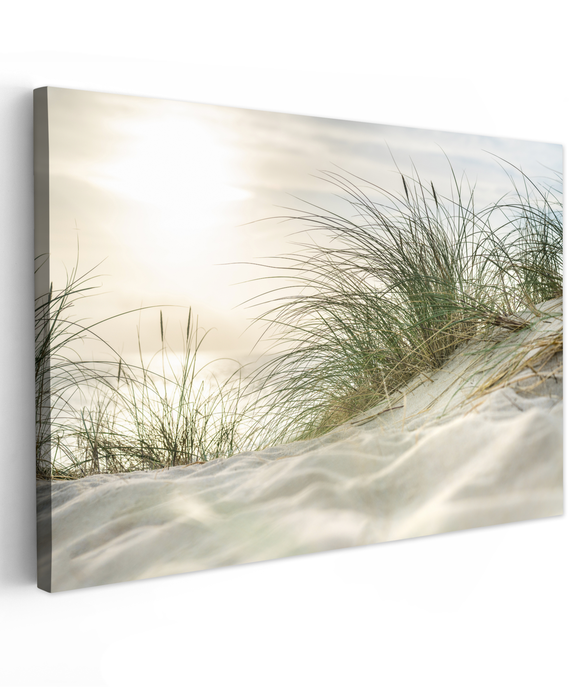 Tableau sur toile - Dunes avec des oyats sous le soleil du parc national allemand Schleswig-Holsteinisches Wattenmeer