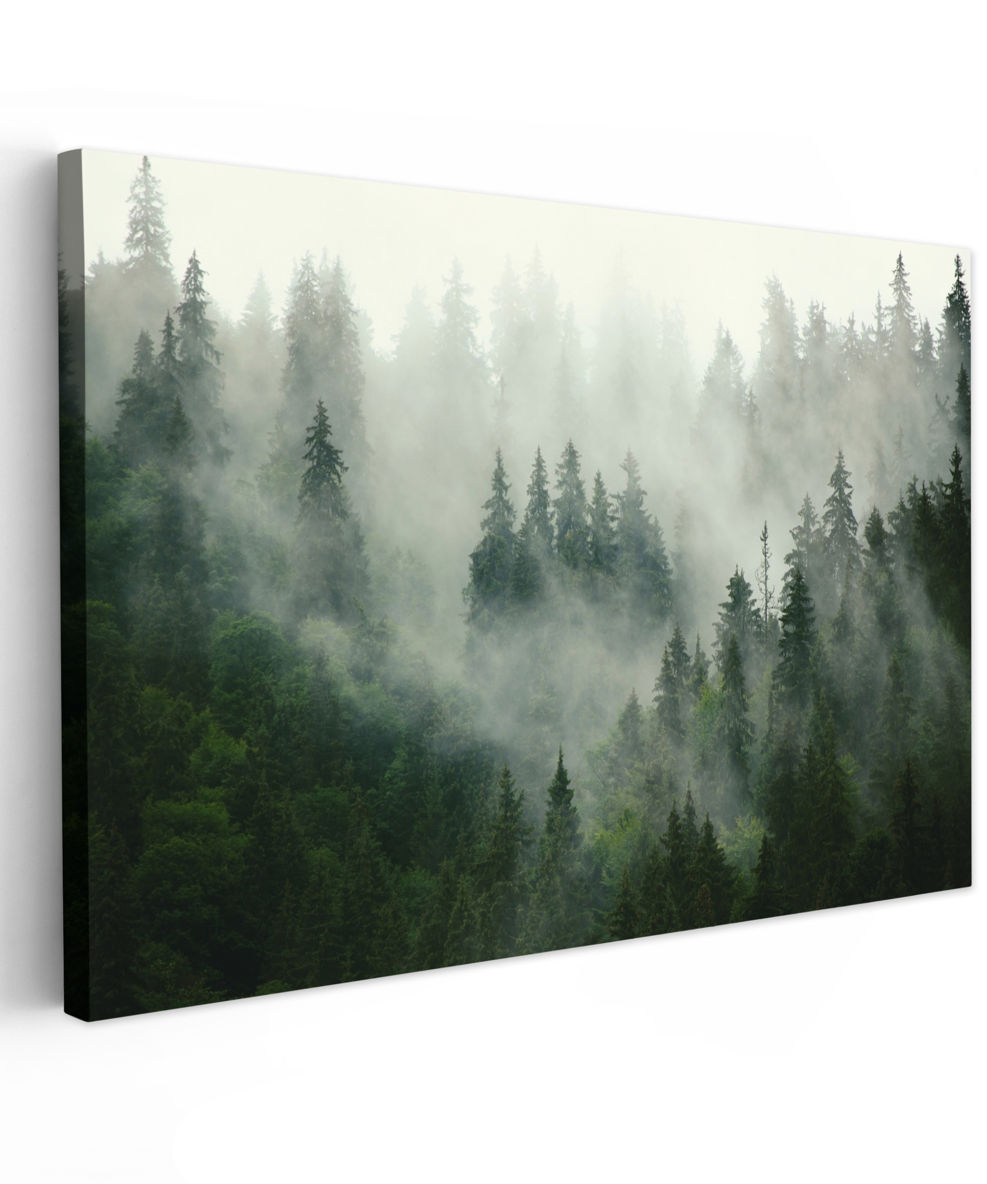 Canvas schilderij - Bos - Mist - Bomen - Natuur