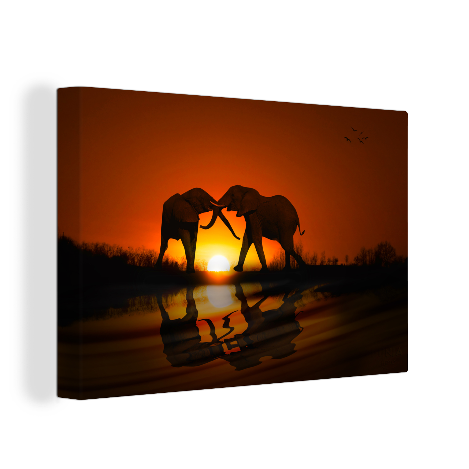 Olifanten koppel bij zonsondergang canvas 2cm 3d