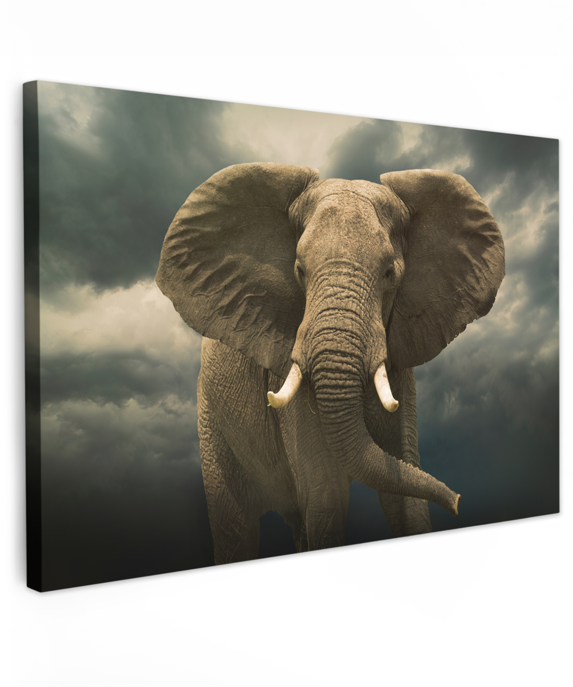Leinwandbild - Afrikanischer Elefant gegen die dunklen Wolken