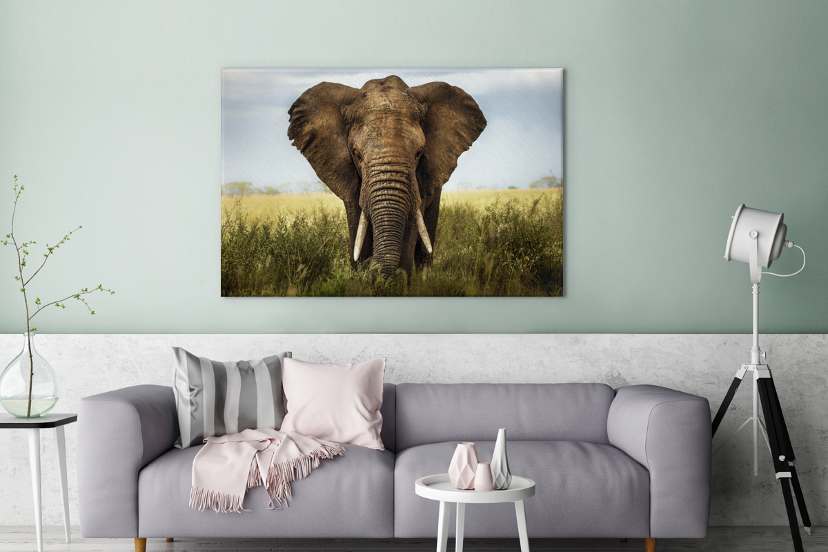 Afrikaanse olifant vooraanzicht canvas 2cm groot -bankgroen