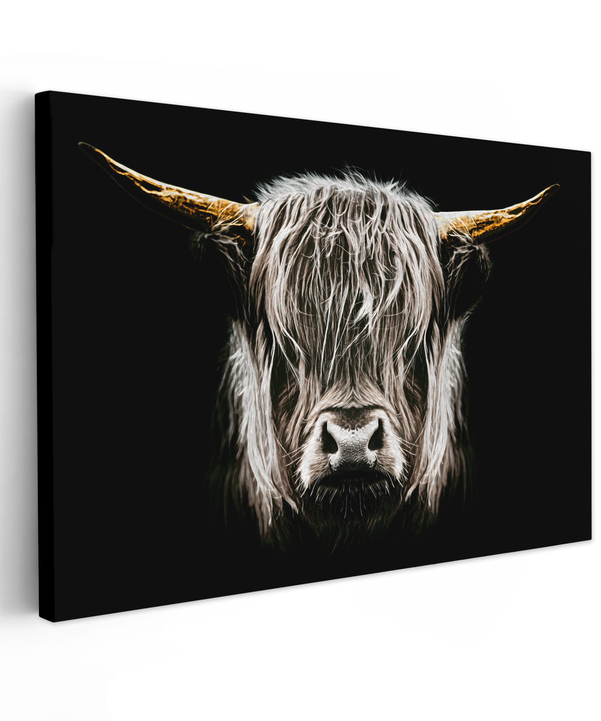 Canvas schilderij - Schotse hooglander - Goud - Hoorns - Zwart wit - Koe - Dieren