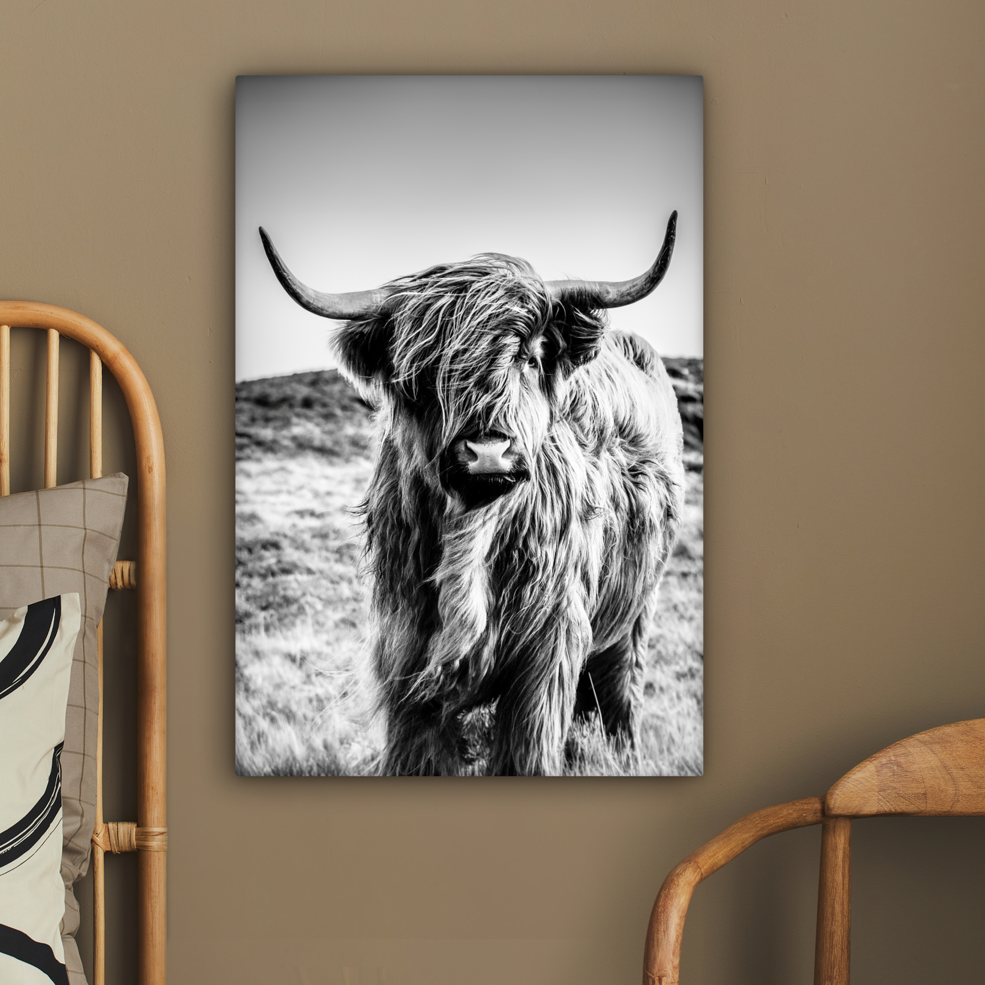 Tableau sur toile - Highlander écossais - Nature - Vache - Noir - Blanc-2