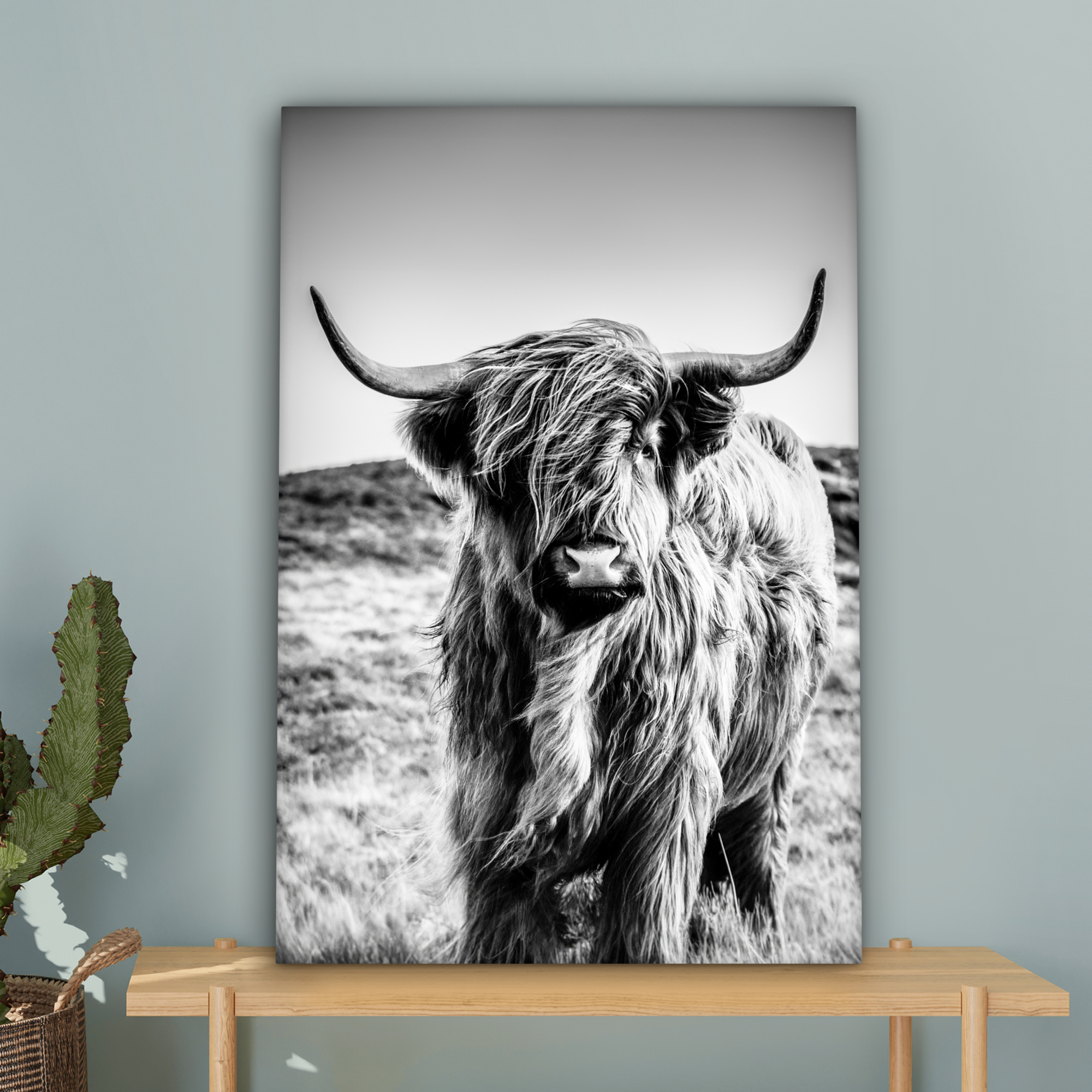 Tableau sur toile - Highlander écossais - Nature - Vache - Noir - Blanc-4