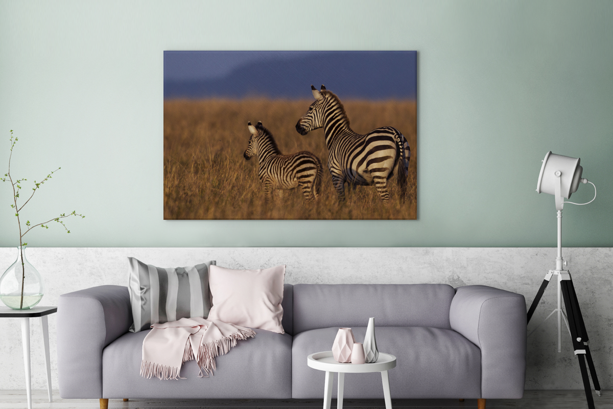 Moeder en baby zebra canvas 2cm groot -bankgroen